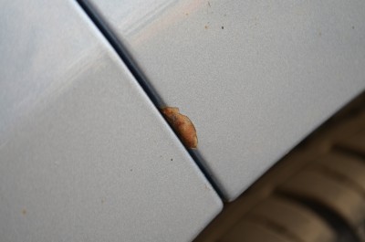 DSC_0445_small.jpg