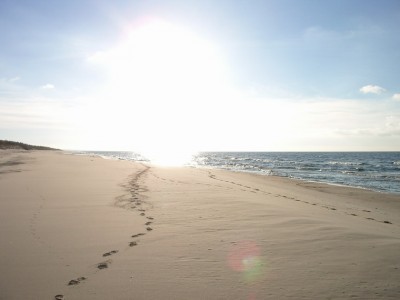 IMGP0718.jpg