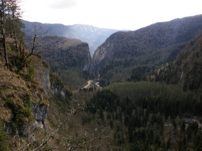 P4119994-01.JPG
